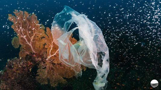 The Debate on Plastic: Is the Material the Enemy?