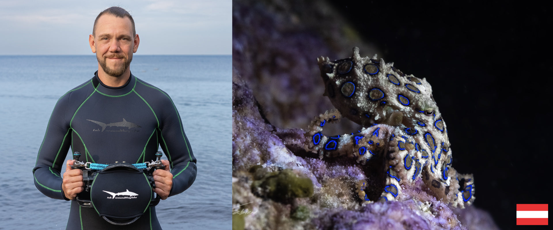 A diver in a wetsuit stands by the ocean holding an underwater camera housing. Next to him, a close-up image of a blue-ringed octopus is shown against a dark underwater background.