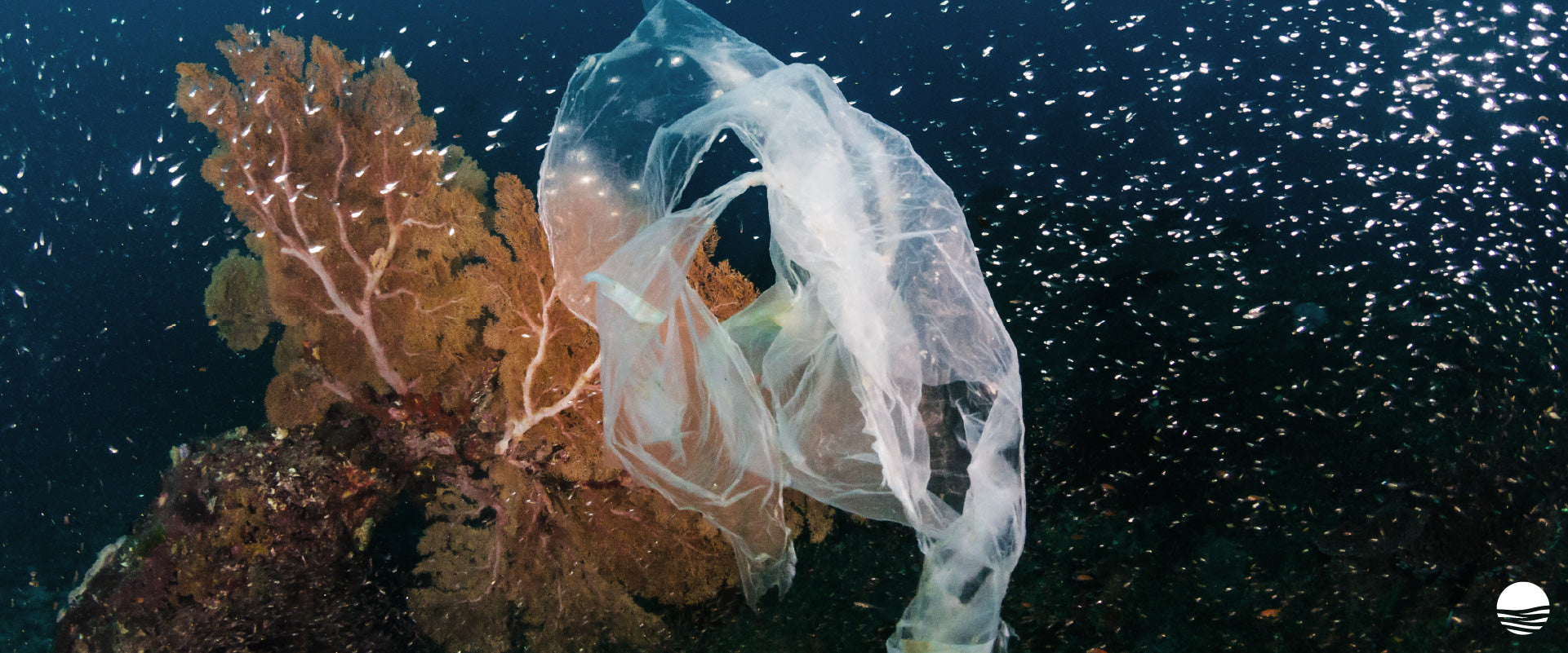 Underwater scene of a coral reef with a plastic bag floating nearby, highlighting the impact of plastic pollution on marine ecosystems.