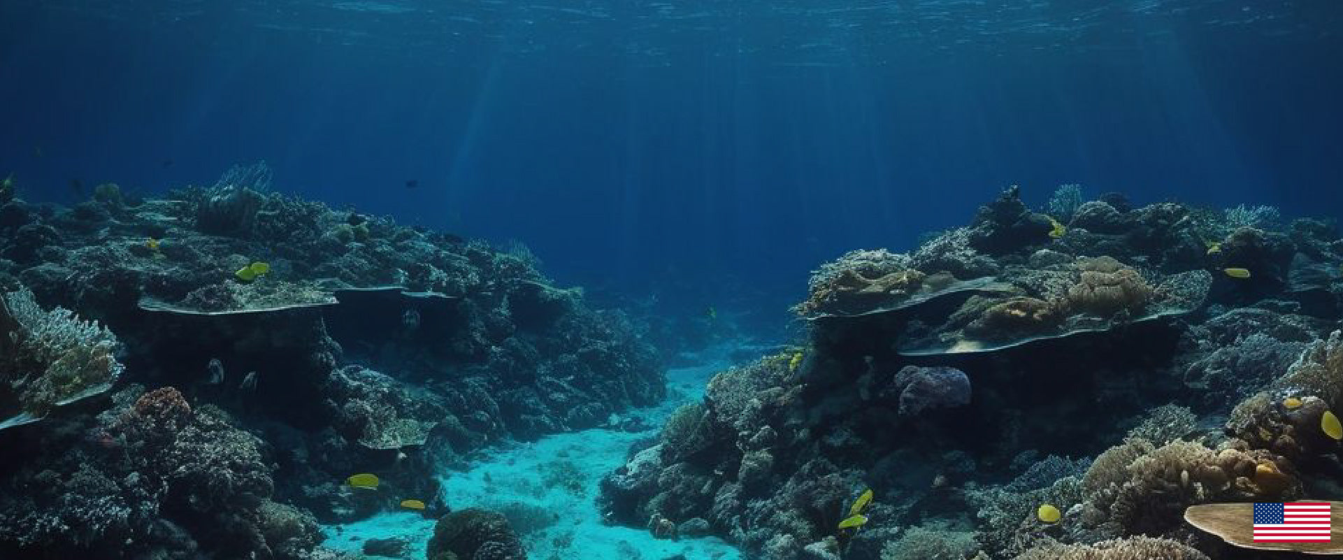 Underwater scene of a vibrant coral reef teeming with marine life, showcasing the beauty and biodiversity of ocean ecosystems.